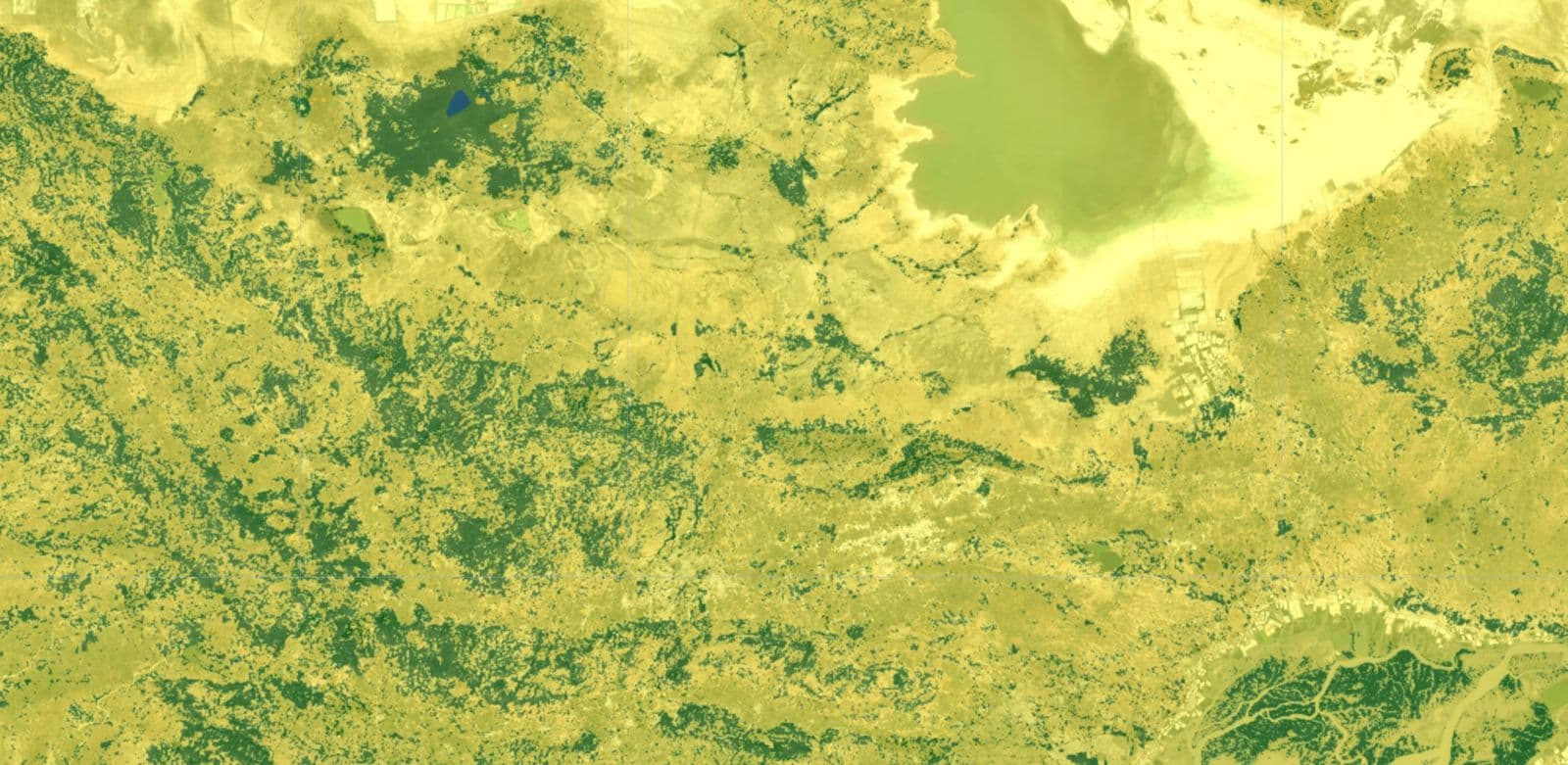 Satellite biomass mapping showing NDVI analysis across Indian landscape